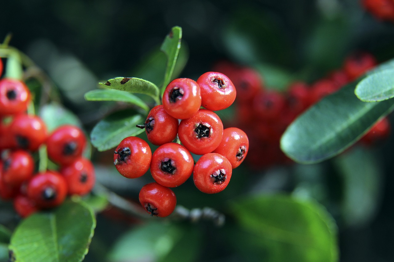 上赛季仅仅 上赛季仅仅