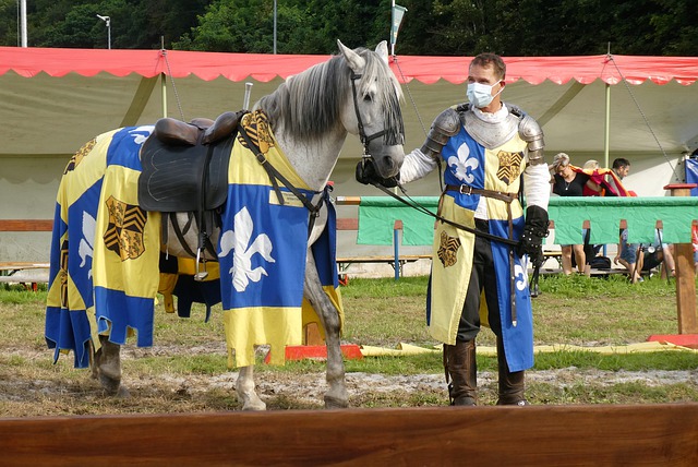 未来的季后 未来的季后