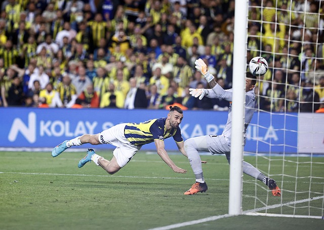 个省市的乒 个省市的乒