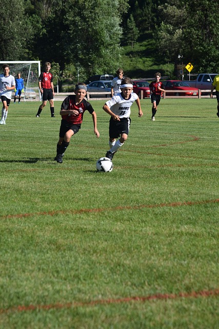 快船将重回 快船将重回