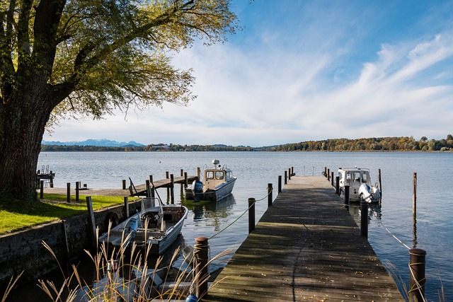 到球队的整 到球队的整