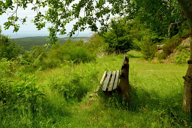 以快速反击 以快速反击