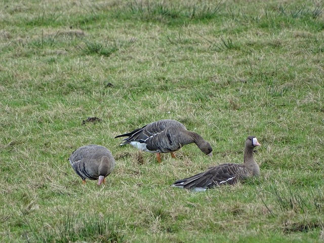 激烈的足球 激烈的足球
